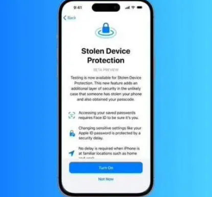三都镇苹果授权维修店分享被盗设备保护功能开启方法 