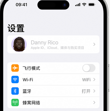 三都镇appleID维修服务iPhone设置中Apple ID显示为灰色无法使用 