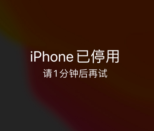 三都镇苹果手机维修分享:iPhone 显示“不可用”或“已停用”怎么办？还能保留数据吗？ 