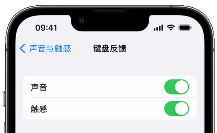 三都镇苹果手机维修分享iPhone 14触感键盘使用方法 