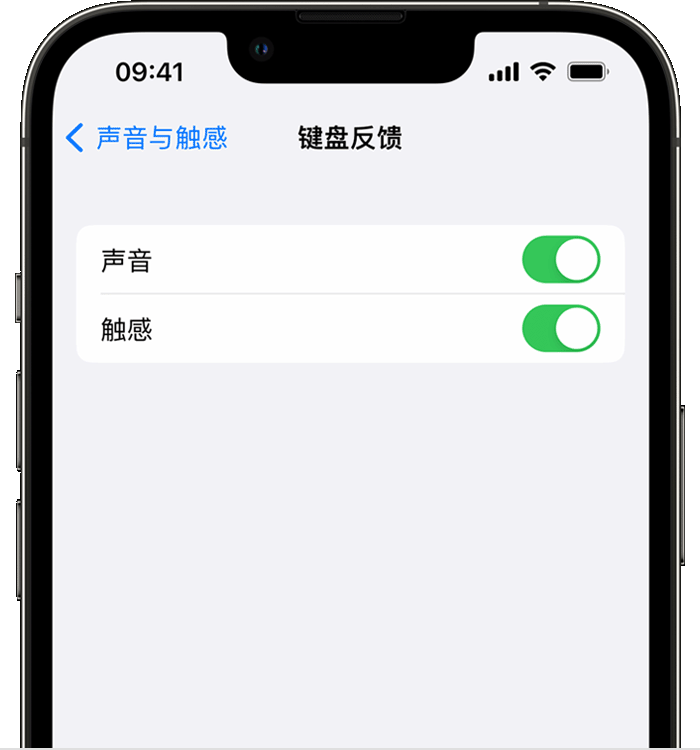 三都镇苹果14维修店分享如何在 iPhone 14 机型中使用触感键盘 