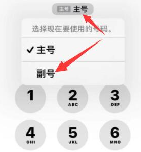 三都镇苹果14维修店分享iPhone 14 Pro Max使用副卡打电话的方法 