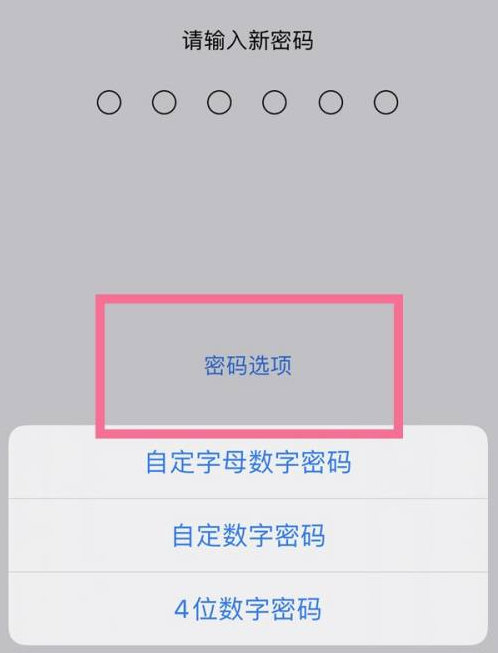 三都镇苹果14维修分享iPhone 14plus设置密码的方法 