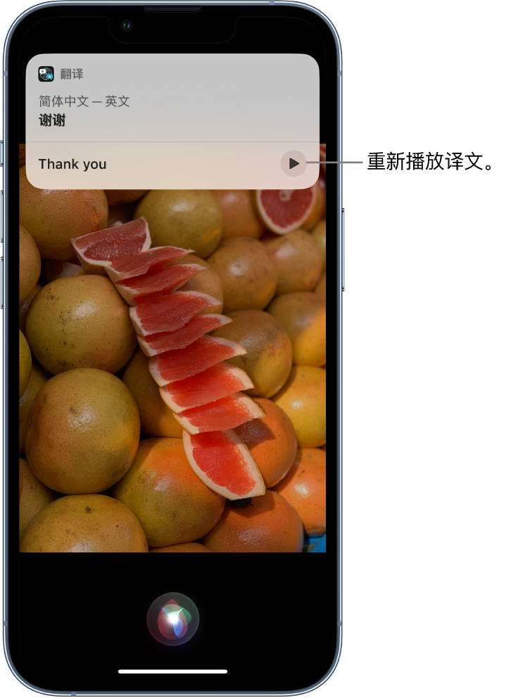 三都镇苹果14维修分享 iPhone 14 机型中使用 Siri：了解 Siri 能帮你做什么 