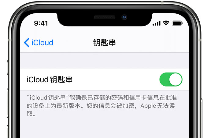 三都镇苹果手机维修分享在 iPhone 上开启 iCloud 钥匙串之后会储存哪些信息 