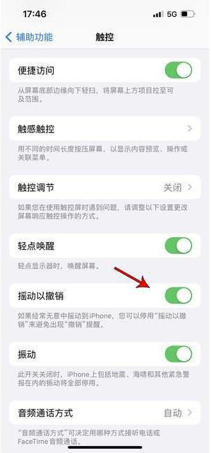 三都镇苹果手机维修分享iPhone手机如何设置摇一摇删除文字 